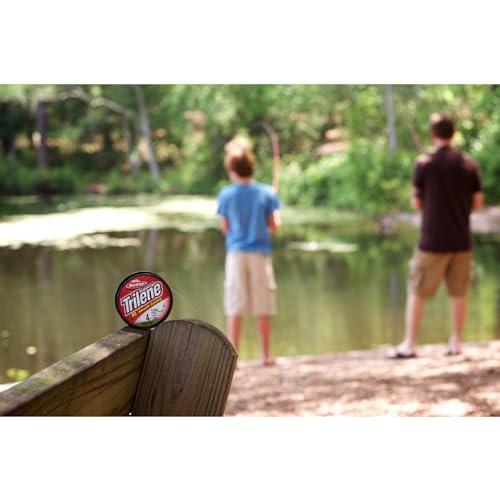 Berkley Trilene® XL®, Clear, 4lb, Transparent, 1000yd - Image 4