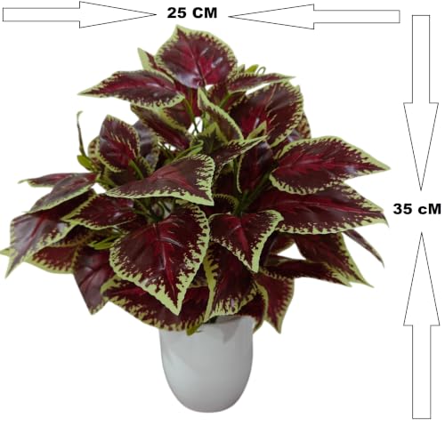 Image of Natural Looking Artificial Money Plant /Tree with Pot | Ornamental Plant for Interior Decor | Home /Shop /Office Decor (Maroon)