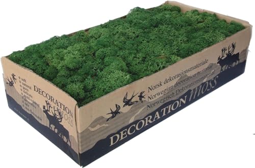 Generico Licheni Muschio Stabilizzato Naturale Scatola da 300 gr. per