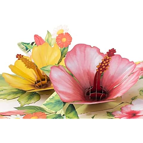 TRUANCE Pop Up Greeting Card Two Hibiscus Flower- 3D Cards for Birthday, Anniversary, Mothers Day, Thank You Cards, Card for Mom, Congratulation Card, Love Card, All Occasion Cover