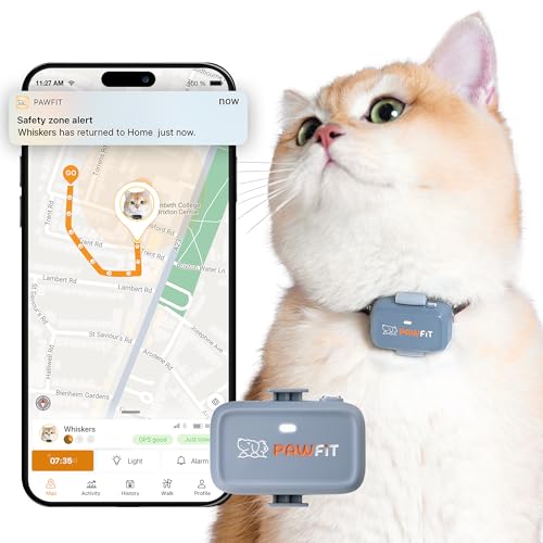 Pawfit Lite for Cats - Rastreador GPS 4g | Diseño ultra pequeño (<18g) | Seguimiento en tiempo real | Monitoreo de actividad | Historial de ubicaciones | Alcance ilimitado | Collar de seguridad