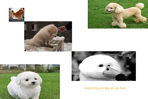 Professional Dog Grooming Scissors 8.0" Grooming Curved Shears For Dog Off-Set Handle Stainless Steel Forged Scissors Shears (8.0" Curved) #TOP4