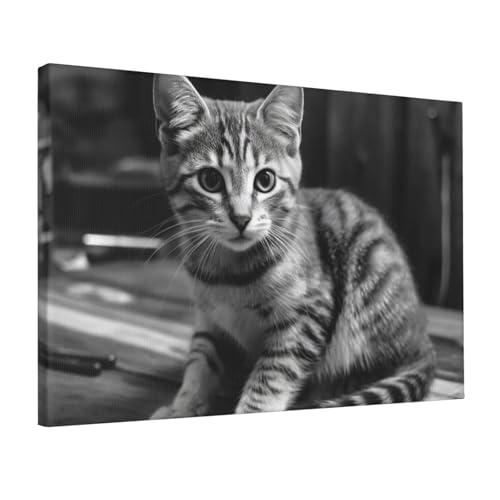 Toile murale chat tableau bois moderne 45,7x30,5cm cadre décoration mur