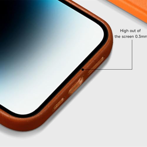 Housse de chargement magnétique iPhone 13 Pro Max coque cuir vert clair