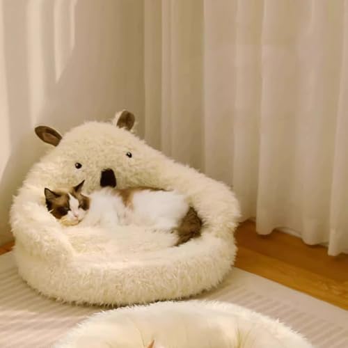 Tunnel douillet et chaud pour chat avec structure isolante style petite maison