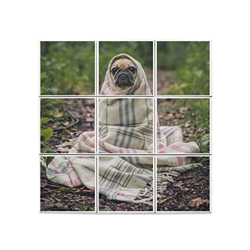 Carreaux céramique carlin lot 9 pièces le cadeau déco idéal pour les amoureux de chiens