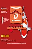 Saito Color Koifutter, der Nachfolger des beliebten Premium Koifutters Saito Energy, energiereiches Schwimmfutter für Koi im Frühjahr und Herbst, Wachstumsfutter und farbverstärkendes Koifutter, 5kg Sack, 5mm