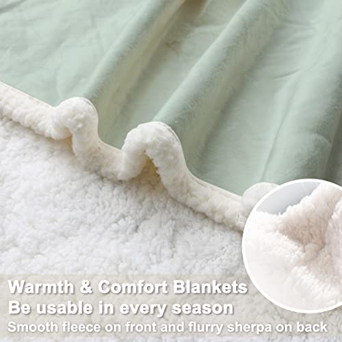 Sleepwish Green Dachshund Blanket Wiener Dog Fleece Throws Cute Puppy Sherpa Blanket For Kids Girls Boys Black & Brown (Throw 50"X60") #TOP2