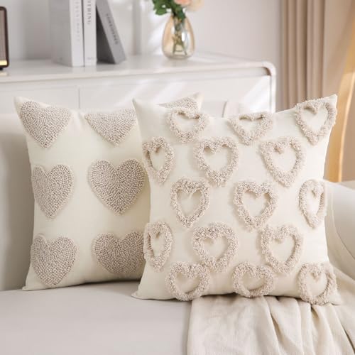 Heart Love Valentines Throw Pillow Covers (Set of 2)