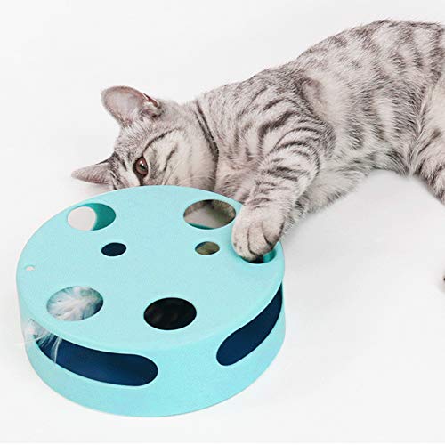 Fishawk Brinquedo para gatos e gatos, toca-discos para animais de estimação, animais de estimação pa