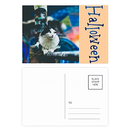 Cartes postales d'Halloween lot de 20 chat paresseux pour invitations de fête