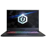 CYBERPOWERPC Tracer IV Edge 17.3' Gaming Notebook, Intel Core i7-10875H 2.3GHz, GeForce RTX 3060 6GB, 16GB DDR4, 500GB PCI-E NVMe SSD, WiFi 6, Bluetooth & Win 10 Home (GTE99827)