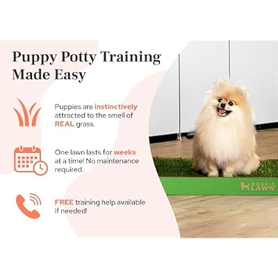 DoggieLawn Real Grass Puppy Pee Pads- 24 x 9 Inches - Perfect Indoor Litter Box for Dogs - No Mess, Easy-to-Use - Potty Training for Pets - Eco-Friendly Disposable Bathroom with Real Living Grass