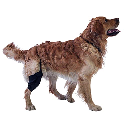 Image of Knee Brace for Dogs with ACL (M Right)