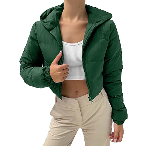 Laquieio Cappotto Donna Inverno Saldi Giacca Imbottita Spessa con Capelli Sintetici e Chiusura Anteriore Cappotti Cappotto Panno Donna Taglia Grande, GN3, S