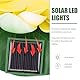 DAZZTIME Lotus Laterne,2 Stück Schwimmende Lotuslichter,Solarlampen für Außen,Solar Lotusblüte,Schwimmende Teichdeko,Nachtlampe Lotusblüte Lotusblatt Teichlicht,für Garten Hof,Schwimmbad