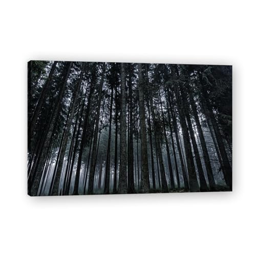 Toile murale forêt Bois La Nuit paysage nature 75x50cm