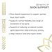 Kerala Ayurveda Back Support Herbal Capsules - Eases Occasional Discomfort of Lower Back & Supports Normal Movement of Spine, 90 Count