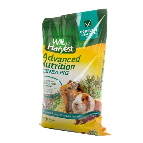 Wild Harvest Advanced Nutrition Diet For Guinea Pigs, Resealable Bag, 8 Pounds #TOP1