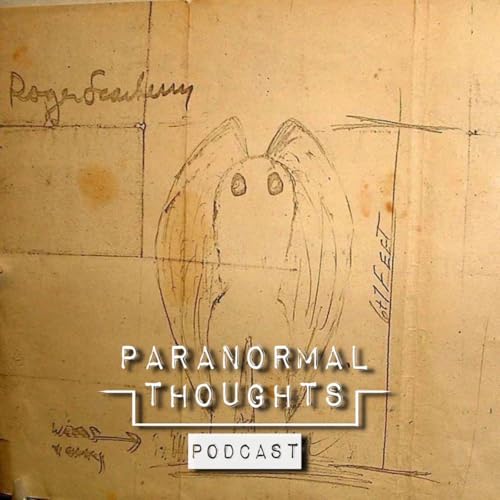 The Witnesses of The Mothman