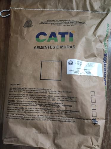 Sementes de Milho Comum Planta 1 kg