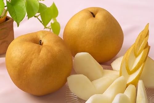 AC-28[令和7年発送]岡山県産 あたご梨 2玉(約1.8kg)
