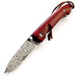 ef8210g002 100% Damascus steel brand and new. Damascus fixed blade and wood steel handle for camping.