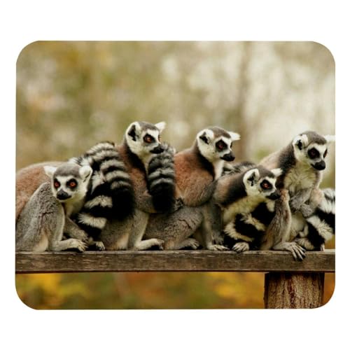 Eslifey Tapis de souris confortable Madagascar Lemur Tapis de souris de bureau, 21 x 25 cm, base en caoutchouc antidérapant, améliore la vitesse et la précision