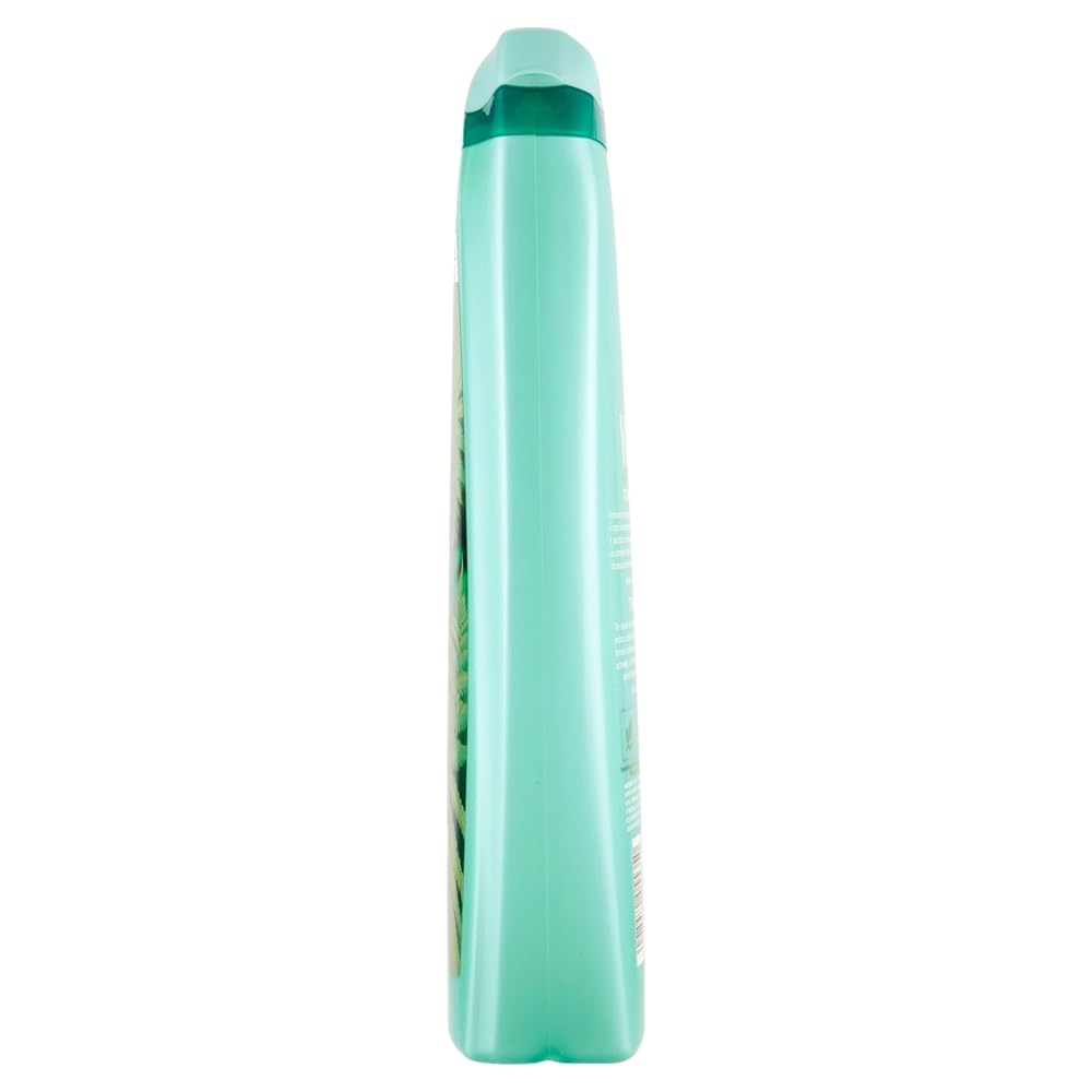 12 gel doccia Vidal Bagnodoccia/schiuma doccia con muschio bianco 500 ml + portachiavi Beni Culinari gratuito