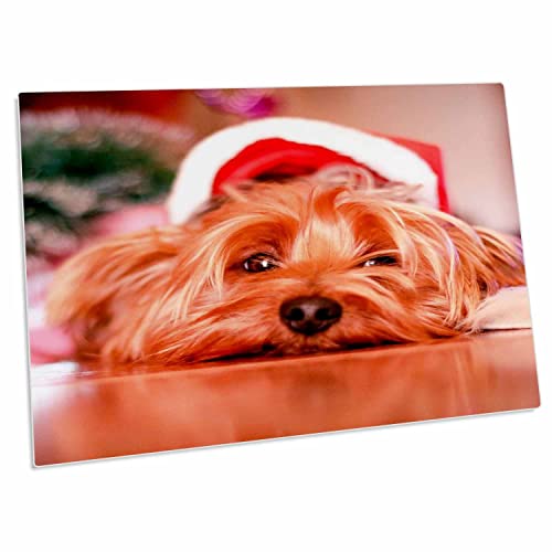 3dRose Desk Pad con Terrier y Sombrero Navideño