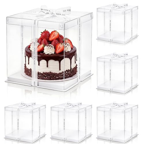 Cididu 6 Pcs Clear Cake Box with Ribbon, 2-Layer Tall Cake Packaging Boxes 8x8x9 Inch, PET Cake Carrier Transport Container for Tiered Cakes, Transparent Gift Display Boxes with Lid for Birthday Party by Cididu - Used condition - CA$25.36