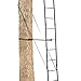 BIG GAME 2-Person Ladder Tree Stand for Hunting Deer with Seat, 16' Tall, Camo/Black - Adjustable Climbing Treestand with Platform and Safety Harness for Shooting
