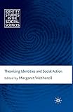 Theorizing Identities and Social Action (Identity Studies in the Social Sciences)