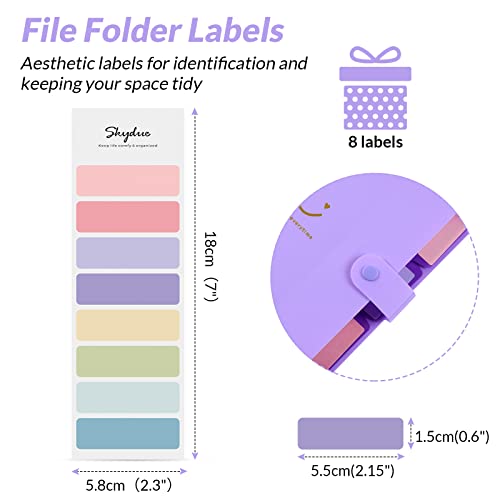 Skydue Cute Accordion File Organizer，Expanding File Folders With 5 Pockets And Labels, Portable Document Paper Organizer, Letter / A4 Size, Purple #TOP2
