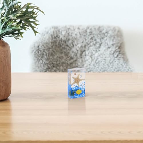 Espécimen educativo de estrella de mar para decoración científica escolar 6