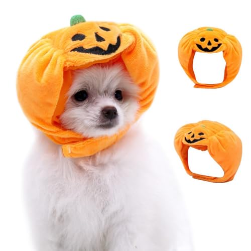 Funny pet hat citrouille à offrir pour les animaux de compagnie