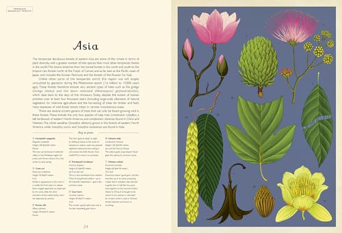 Arboretum: Welcome to the Museum - Image 3