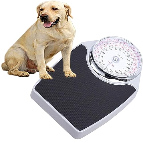 DJSDN Báscula de baño mecánica, Esfera analógica Grande, medición precisa for hoteles/Gimnasio/Familia/baño