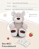 NICI Kuscheltier Bär Bendix 20cm Green I Schlenkernder Teddybär mit großen, knuffigen Tatzen I Plüschtier für Schmusetierliebhaber I Stofftier – 49436