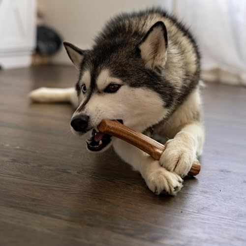Pupstages Super Dogwood Dog Chew Toy, Made in the USA – Real-Wood Blend, Natural Wood Flavor & Texture, Moderate Chewers, Medium, 9.5" by Pupstages - Image 6