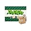 Mint 200g