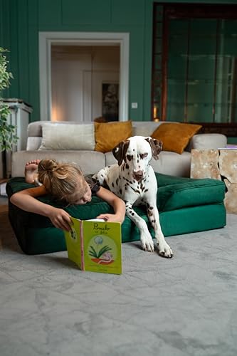Image of NOAH & PAW XL Dog Bed, 45x35x11 Inch, Orthopedic Large Dog Beds, Eggshell Memory Foam Infused with Cooling Gel, Inner Cover, Water Resistant, Machine Washable (Velvet Sofa Collection)