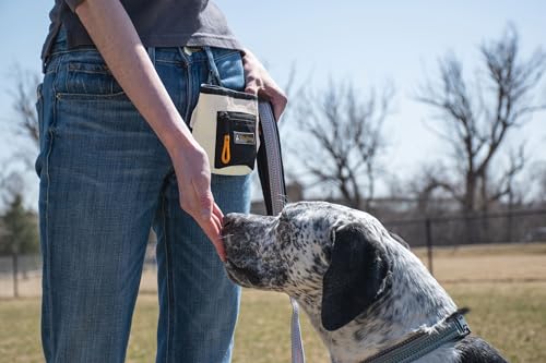 OllyDog Goodie Treat Bag, Dog Treat Pouch, Waist Belt Clip for Hands-Free Training, Magnetic Closure, Dog Training and Behavior Aids, Three Ways to Wear (Bluff) - Thumbnail 2
