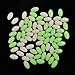 OROOTL Glow Beads Fishing Saltwater, 100pcs Hard Plastic Luminous Fishing Beads Green White Fish Beads Assortment Oval Egg Bead Lures Sea Fishing Tool