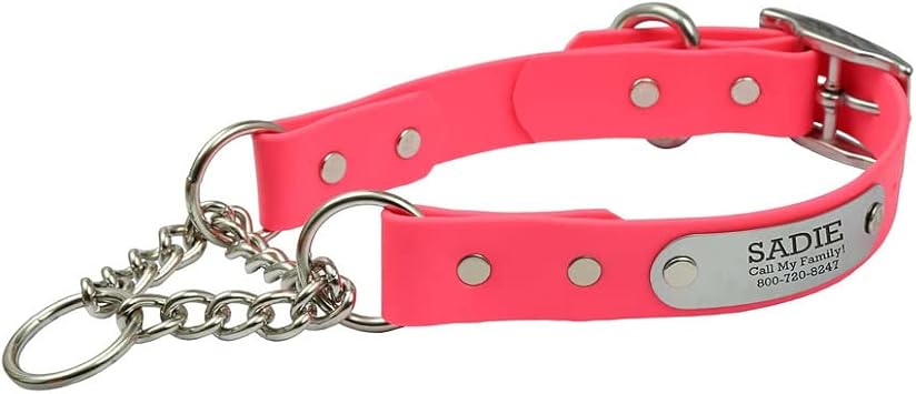 dogIDs Personalized Waterproof Chain Martingale Personalized Dog Collar, Made in USA - Soft Grip Biothane, Adjustable, Odor Resistant - Coral, 1in Wide Fits Neck Sizes 16-20in