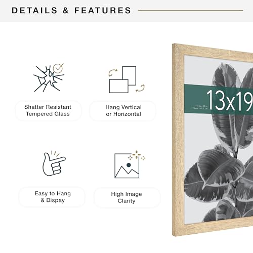 MCS Studio Gallery 13x19 Picture Frame Natural Woodgrain, Rectangle Photo Frame for Photos, Posters & Art Prints (1-Pack)