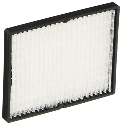 Epson V13H134A14 Filtro Aria per ELPAF14, Nero