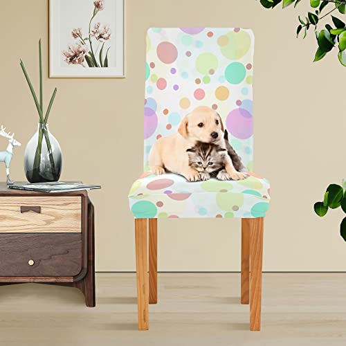 Alaza Stretch Chair Cover Slipcover, Colorful Polka Dot Super Soft Slipcover Machine Washable For Living Room, Wedding, Banquet #TOP5