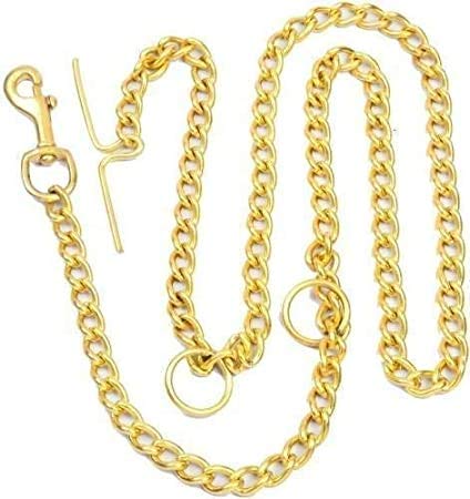 Smart Doggie™ Export Quality Brass Dog Chain for Small Dog Chain Length 5feet(Complete Brass Chain) (B08TCHL3CP) Amazon Price History, Amazon Price Tracker