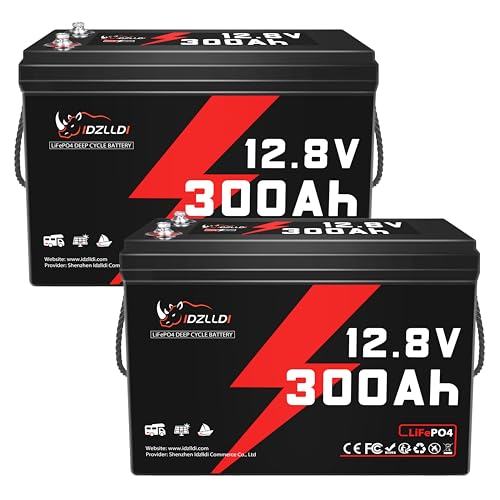 IDZLLDI 2 Pack 12V 300Ah LiFePO4 Lithium Battery 200A BMS